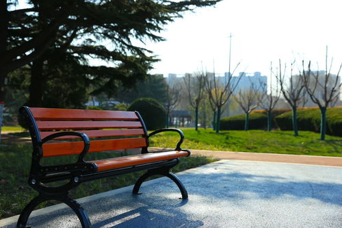 老園新顏 涂色童年記憶，濰坊公園的設(shè)施新生