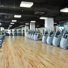 2018年健身器材市場(chǎng)概覽 批發(fā)報(bào)價(jià)與選購指南（第六頁）